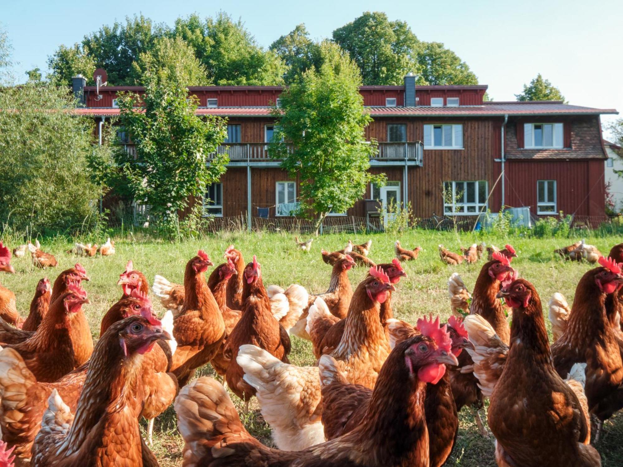 Vila Biohof Medewege Schwerin  Exteriér fotografie